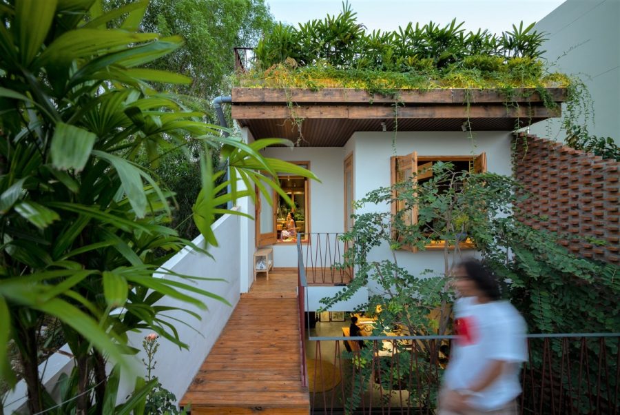 Tầng hai của ngôi nhà giống như một tổ dế mèn với phần mái nhiều cây xanh từ khu vườn trên tầng ba.